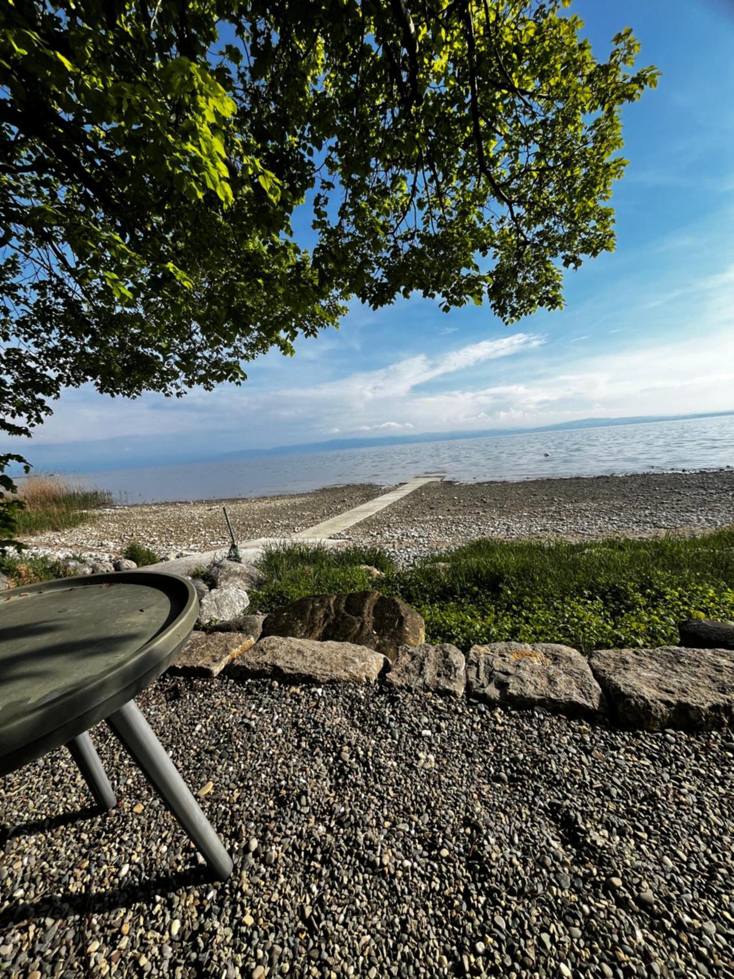 Kling am See Friedrichshafen Bagian luar foto